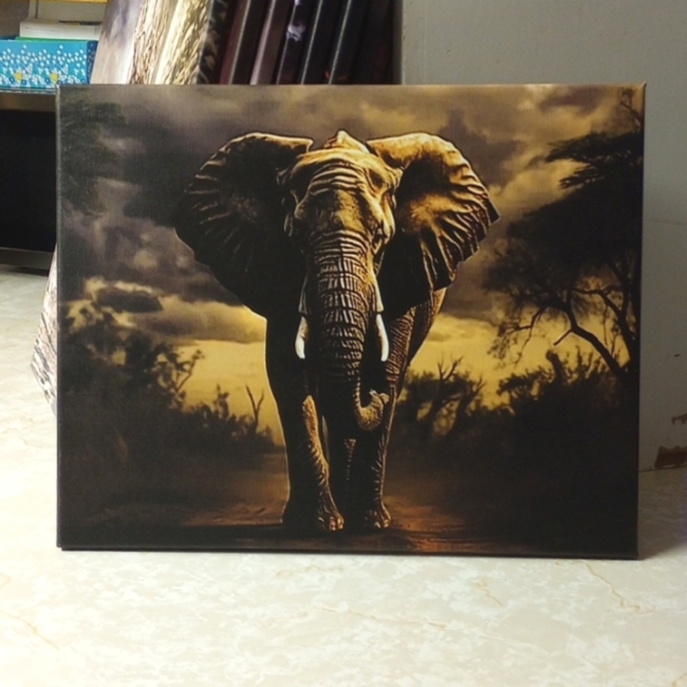 Canvas picture